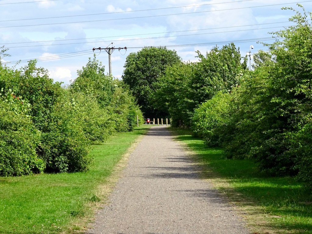 National Cycle Route 549 leaving Hilton along a tree-lined path